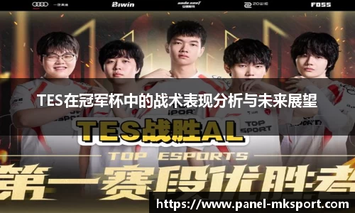 TES在冠军杯中的战术表现分析与未来展望